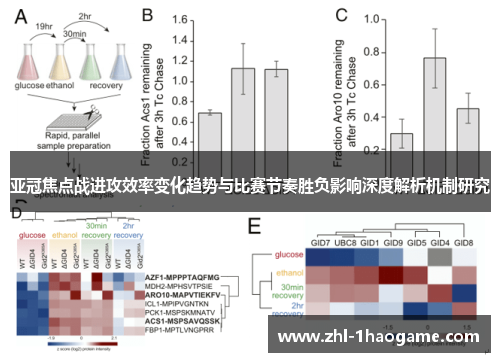 亚冠焦点战进攻效率变化趋势与比赛节奏胜负影响深度解析机制研究